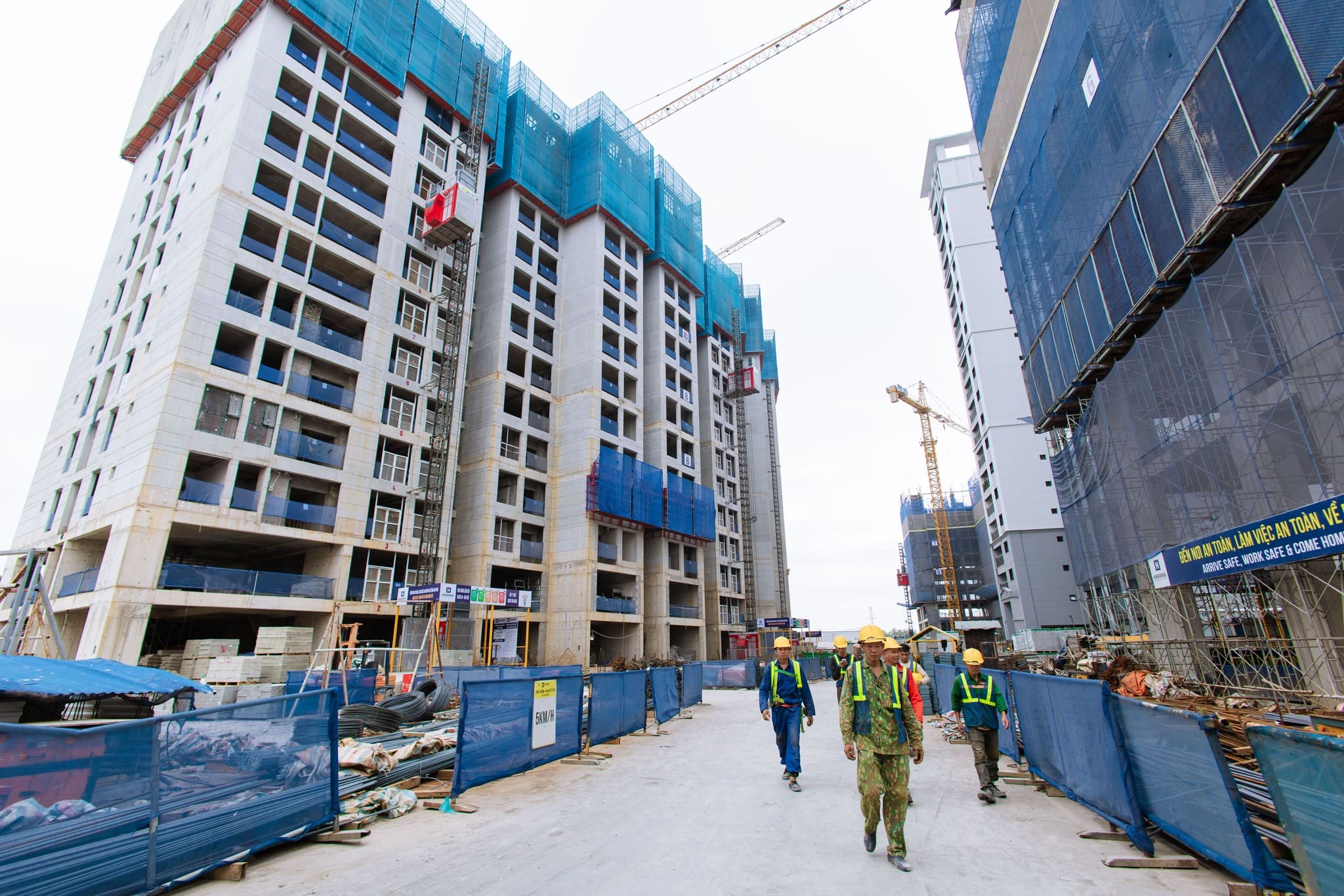 Tiến độ dự án 6