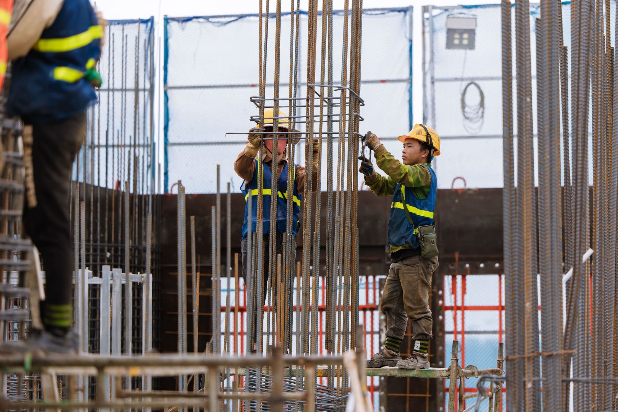 Tiến độ dự án 12